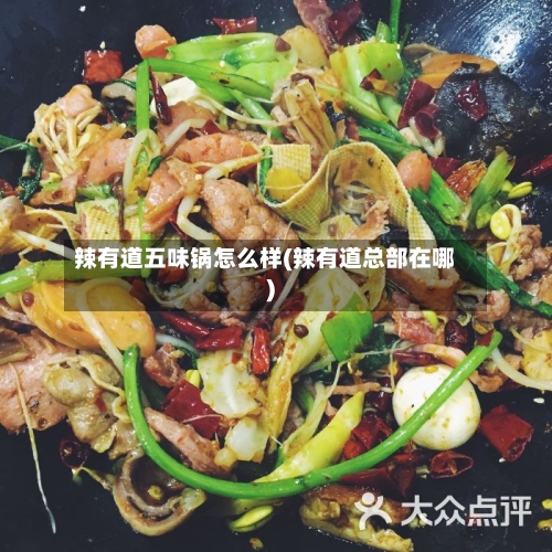 辣有道五味锅怎么样(辣有道总部在哪)