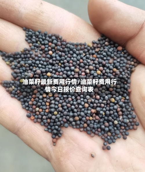 油菜籽最新费用行情/油菜籽费用行情今日报价查询表