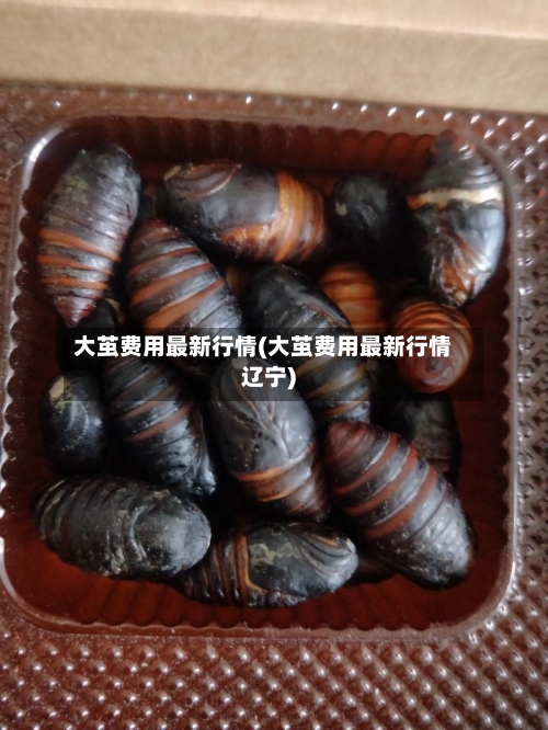 大茧费用最新行情(大茧费用最新行情辽宁)
