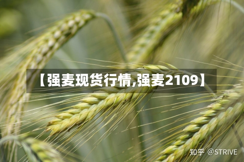 【强麦现货行情,强麦2109】-第2张图片