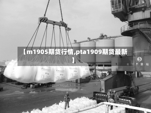 【m1905期货行情,pta1909期货最新】