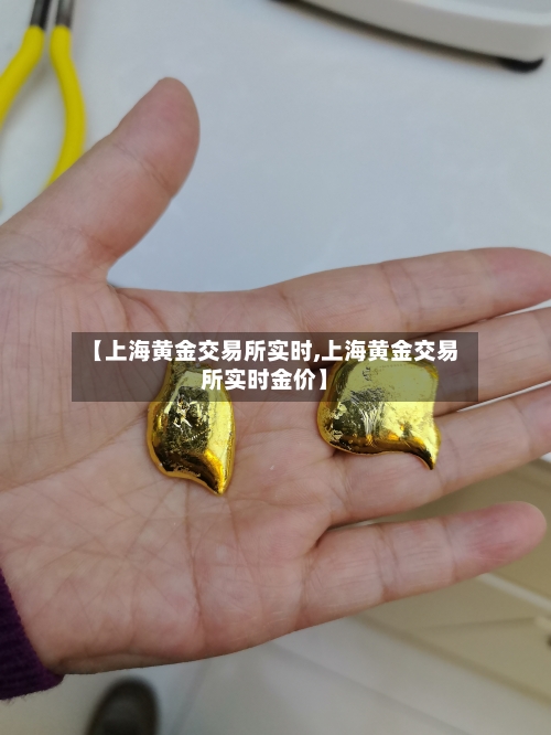 【上海黄金交易所实时,上海黄金交易所实时金价】-第3张图片