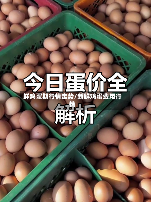 鲜鸡蛋期行情走势/新鲜鸡蛋费用行情-第2张图片