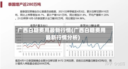 广西白糖费用最新行情(广西白糖费用最新行情分析)-第3张图片