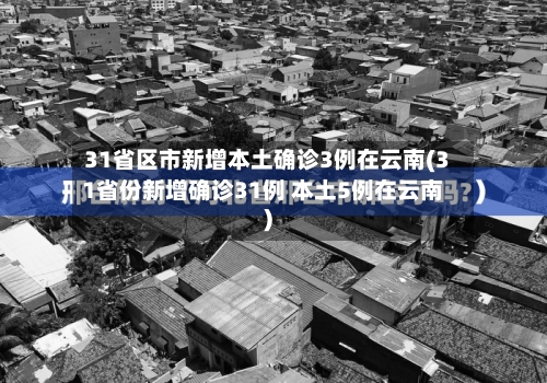 31省区市新增本土确诊3例在云南(31省份新增确诊31例 本土5例在云南)