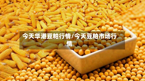 今天华港豆粕行情/今天豆粕市场行情