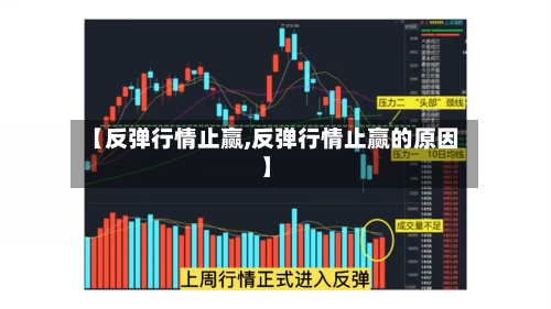 【反弹行情止赢,反弹行情止赢的原因】-第3张图片