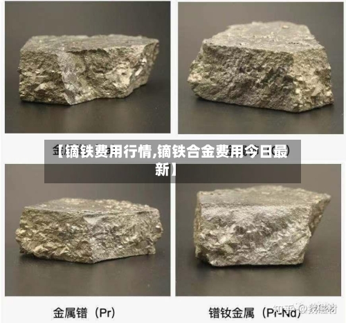 【镝铁费用行情,镝铁合金费用今日最新】-第2张图片