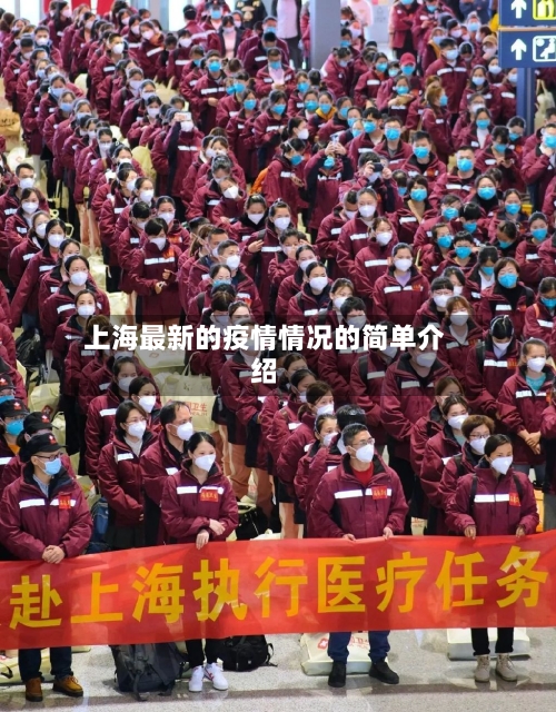 上海最新的疫情情况的简单介绍