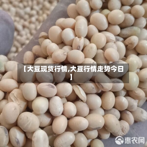 【大豆现货行情,大豆行情走势今日】-第2张图片