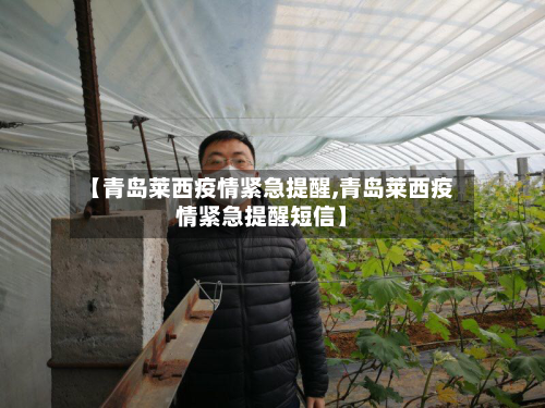 【青岛莱西疫情紧急提醒,青岛莱西疫情紧急提醒短信】