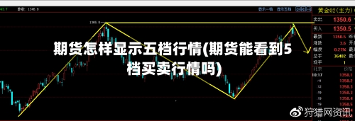 期货怎样显示五档行情(期货能看到5档买卖行情吗)-第2张图片
