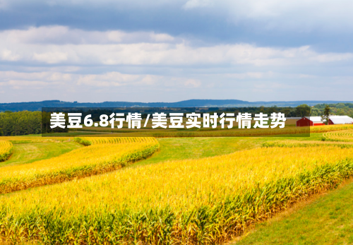 美豆6.8行情/美豆实时行情走势
