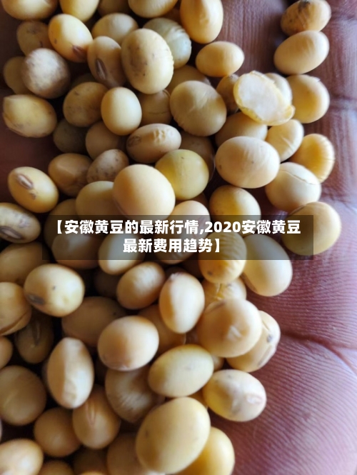 【安徽黄豆的最新行情,2020安徽黄豆最新费用趋势】-第2张图片
