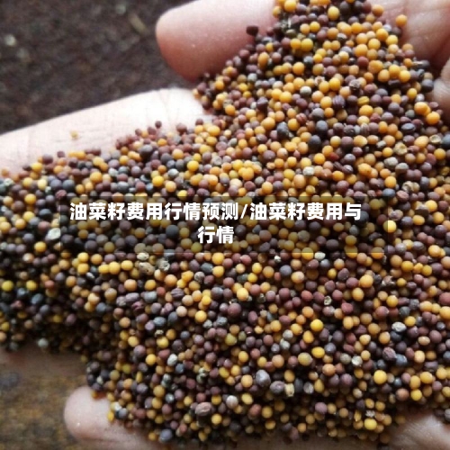 油菜籽费用行情预测/油菜籽费用与行情