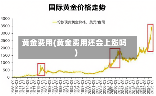 黄金费用(黄金费用还会上涨吗)-第2张图片