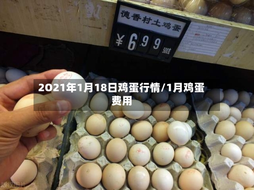 2O21年1月18日鸡蛋行情/1月鸡蛋费用-第2张图片