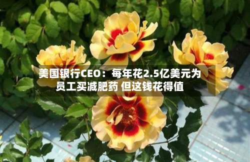 美国银行CEO：每年花2.5亿美元为员工买减肥药 但这钱花得值