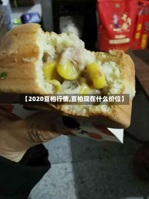 【2020豆柏行情,豆柏现在什么价位】-第2张图片