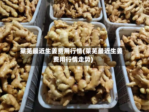 莱芜最近生姜费用行情(莱芜最近生姜费用行情走势)