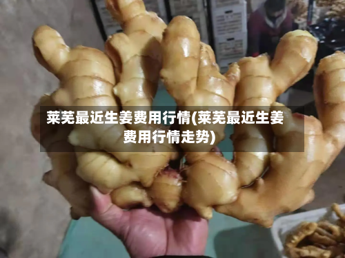 莱芜最近生姜费用行情(莱芜最近生姜费用行情走势)-第2张图片