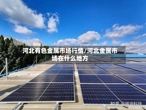 河北有色金属市场行情/河北金属市场在什么地方