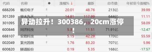 异动拉升！300386，20cm涨停！-第2张图片