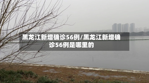 黑龙江新增确诊56例/黑龙江新增确诊56例是哪里的