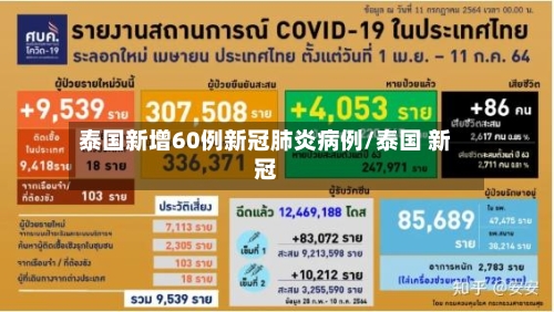 泰国新增60例新冠肺炎病例/泰国 新冠