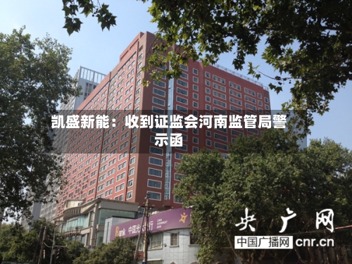 凯盛新能:收到证监会河南监管局警示函-第2张图片