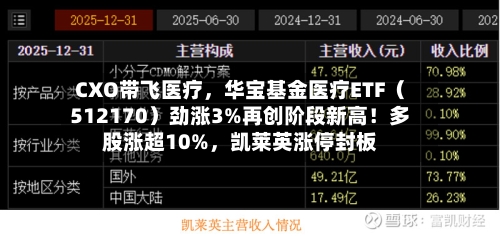 CXO带飞医疗,华宝基金医疗ETF(512170)劲涨3%再创阶段新高!多股涨超10%,凯莱英涨停封板
