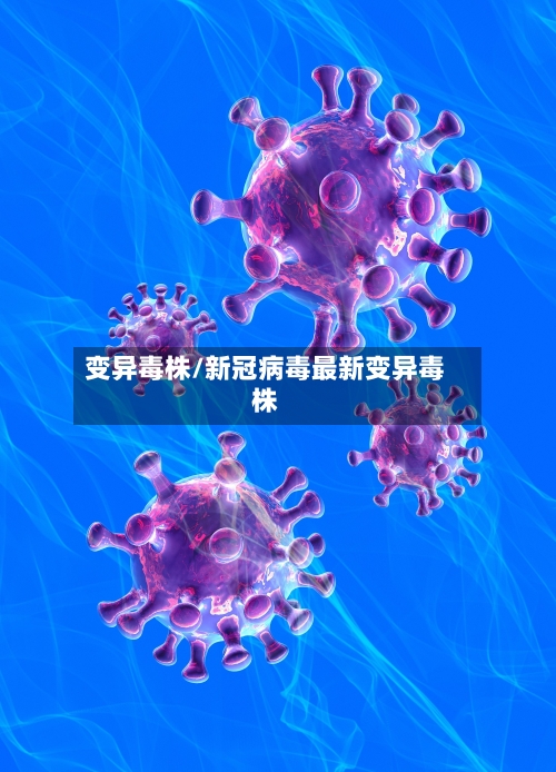 变异毒株/新冠病毒最新变异毒株-第3张图片